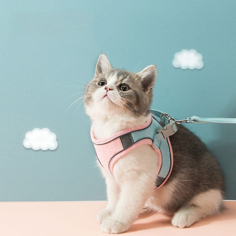 Adjustable Cat Harness Set