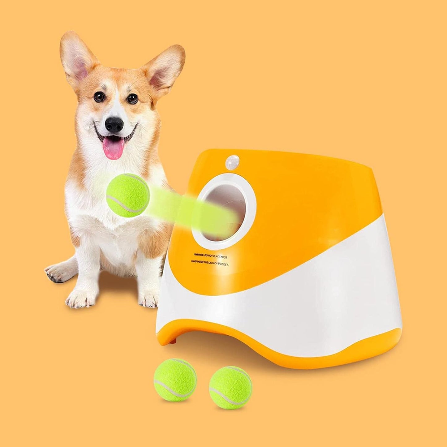 Automatic Pet Ball Launcher