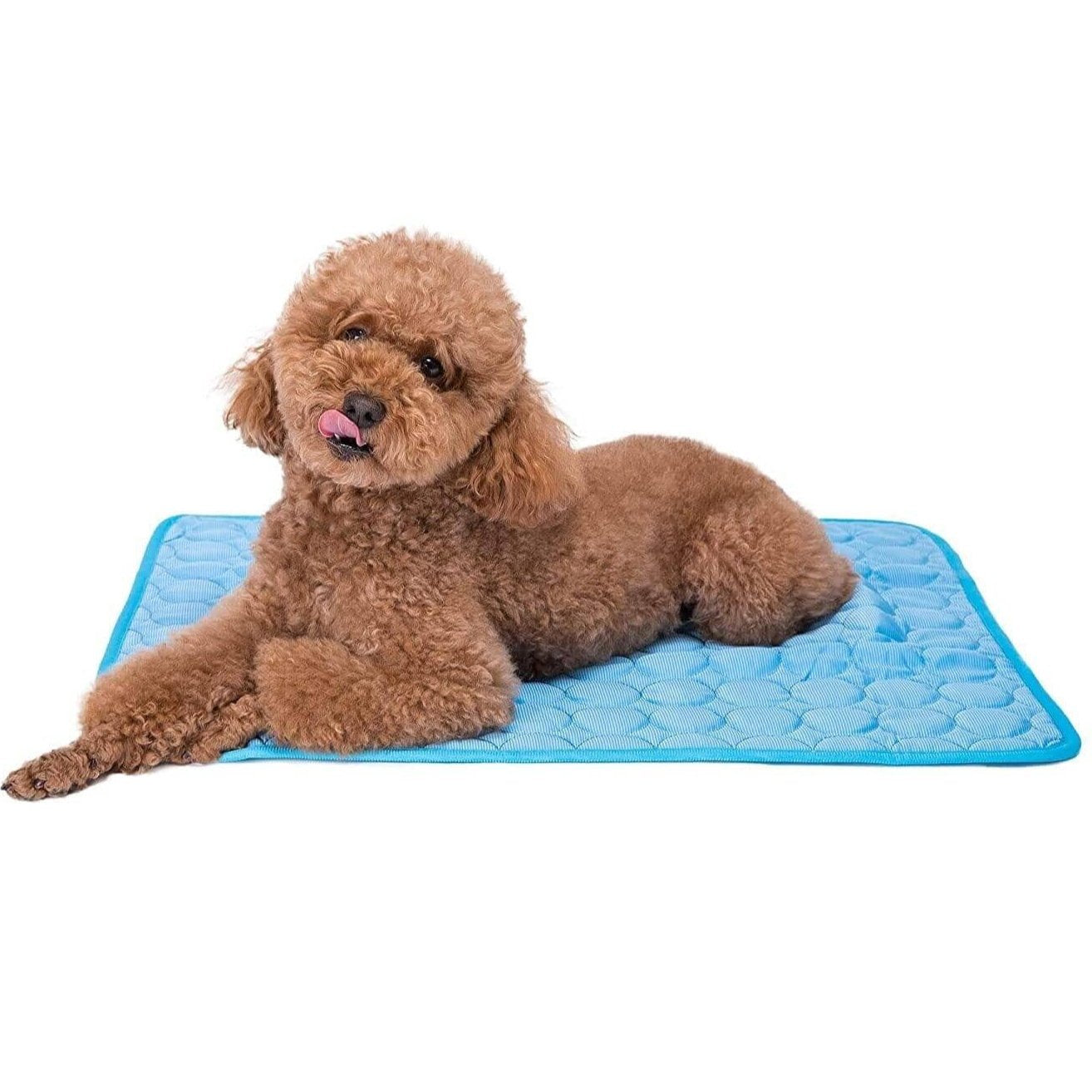 Dog Cooling Mat