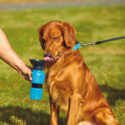 Pet Drinking Water Bottle